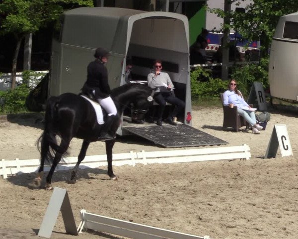 Reitturnier Bochum 2023