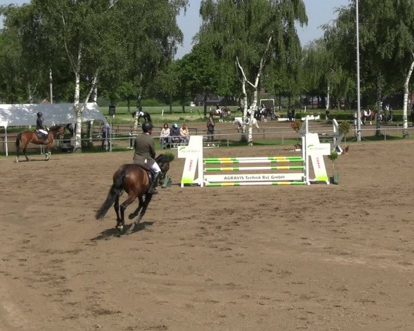 Reitturnier Seppenrade 2023