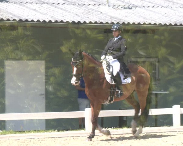Reitturnier Kreuttal - Frey Horses 2023