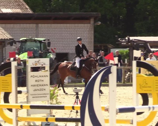 Reitturnier Kropp 2023
