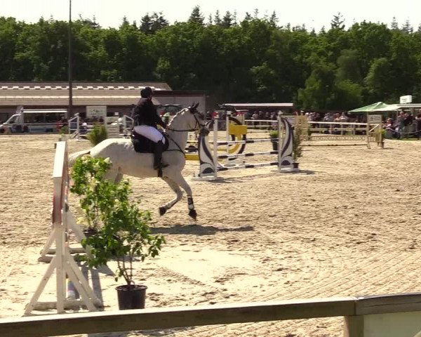 Reitturnier Kropp 2023