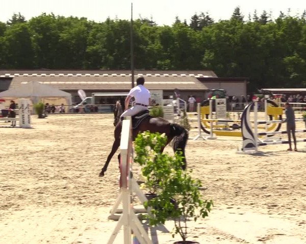 Reitturnier Kropp 2023