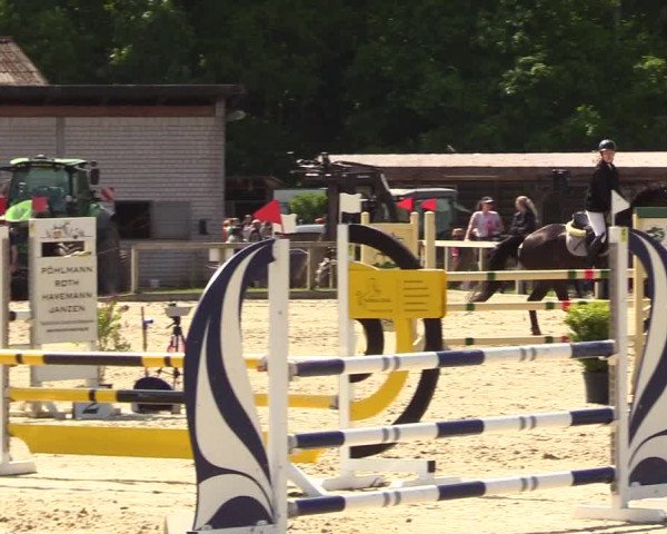 Reitturnier Kropp 2023