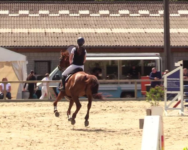 Reitturnier Kropp 2023