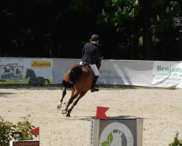 Reitturnier Karlsfeld/Obb. 2023