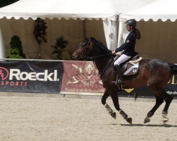 Reitturnier Karlsfeld/Obb. 2023
