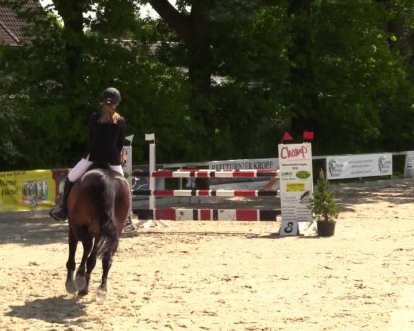 Reitturnier Kropp 2023