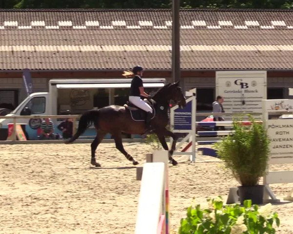 Reitturnier Kropp 2023