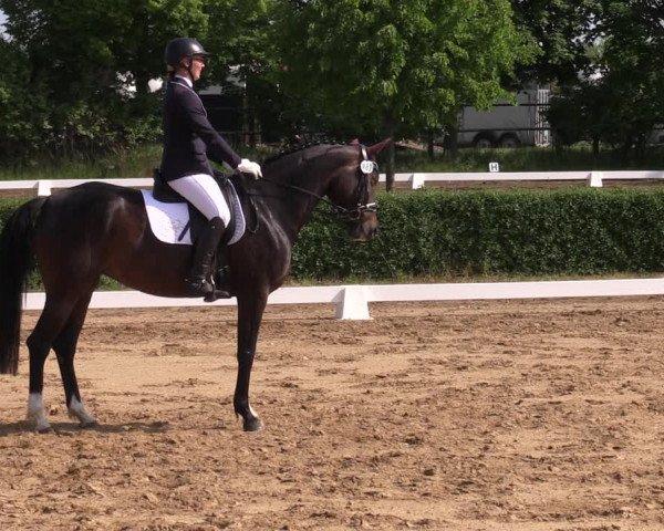 Reitturnier Westeregeln 2023