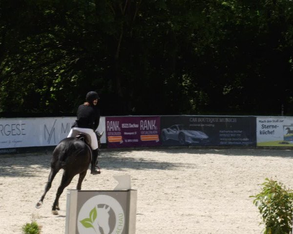 Reitturnier Karlsfeld/Obb. 2023
