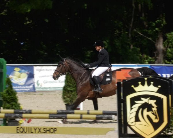 Reitturnier Karlsfeld/Obb. 2023