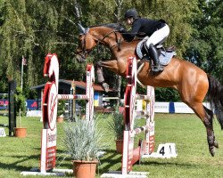 jumper Safir K (Hanoverian, 2013, from Hunter's Scendix)