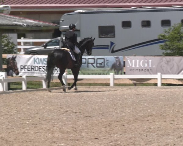 Reitturnier Kreuttal - Frey Horses 2023