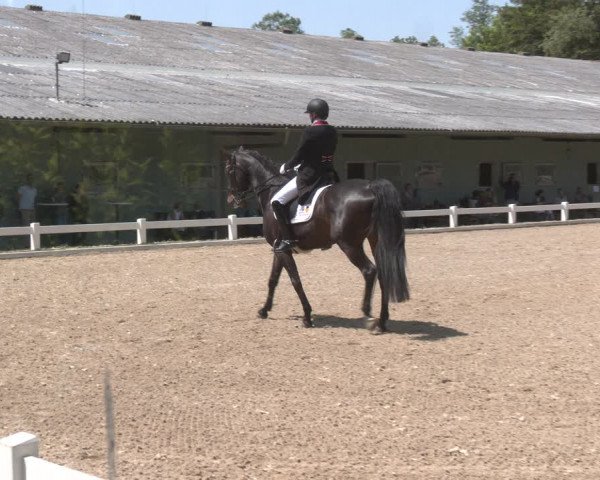 Reitturnier Kreuttal - Frey Horses 2023