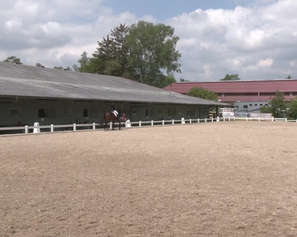 Reitturnier Kreuttal - Frey Horses 2023