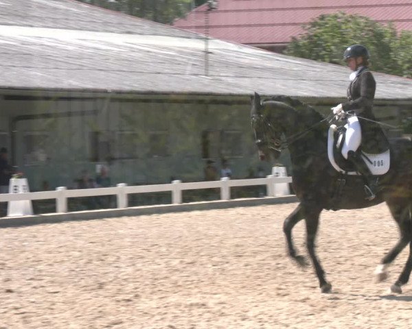 Reitturnier Kreuttal - Frey Horses 2023