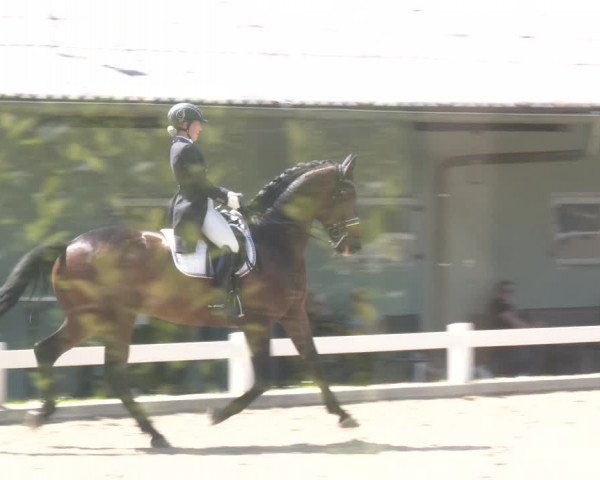 Reitturnier Kreuttal - Frey Horses 2023