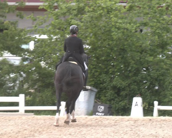Reitturnier Kreuttal - Frey Horses 2023
