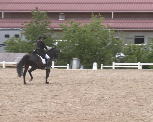 Reitturnier Kreuttal - Frey Horses 2023