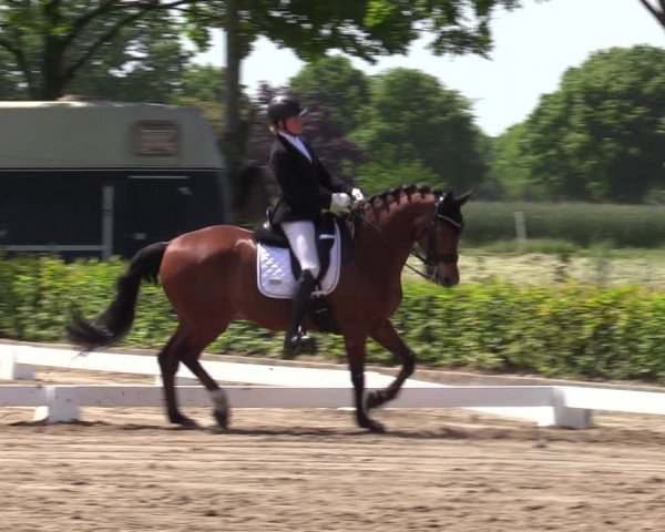 Reitturnier Seppenrade 2023