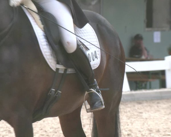 Reitturnier Kreuttal - Frey Horses 2023