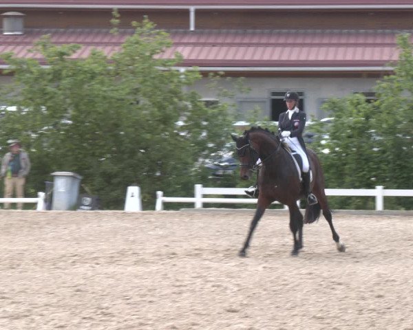 Reitturnier Kreuttal - Frey Horses 2023