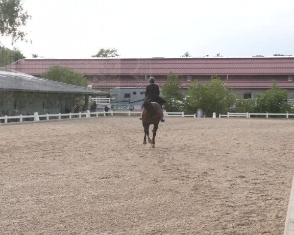 Reitturnier Kreuttal - Frey Horses 2023