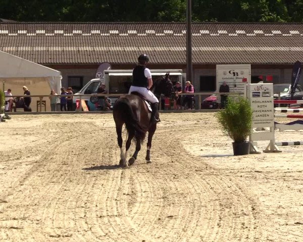 Reitturnier Kropp 2023