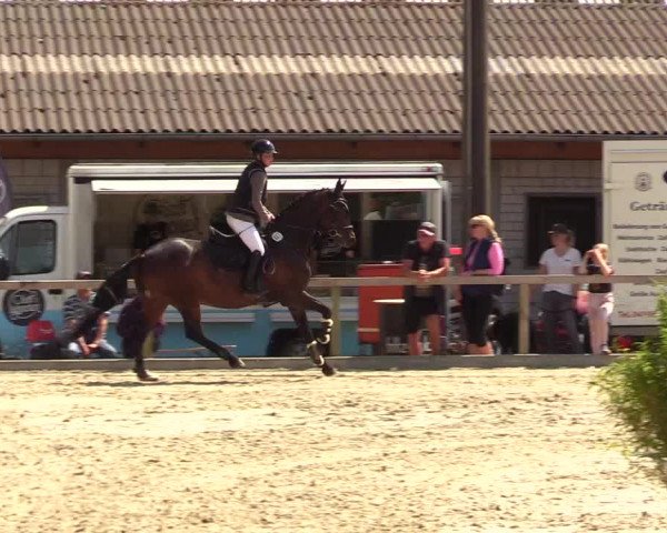Reitturnier Kropp 2023