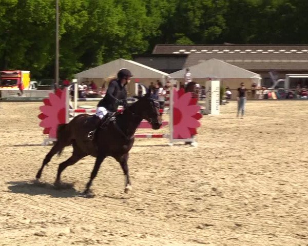 Reitturnier Kropp 2023