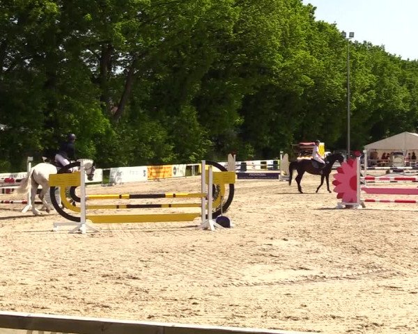 Reitturnier Kropp 2023