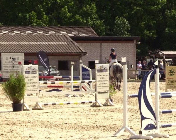 Reitturnier Kropp 2023