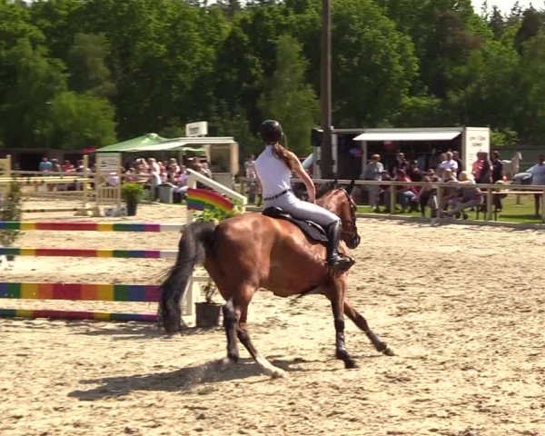 Reitturnier Kropp 2023