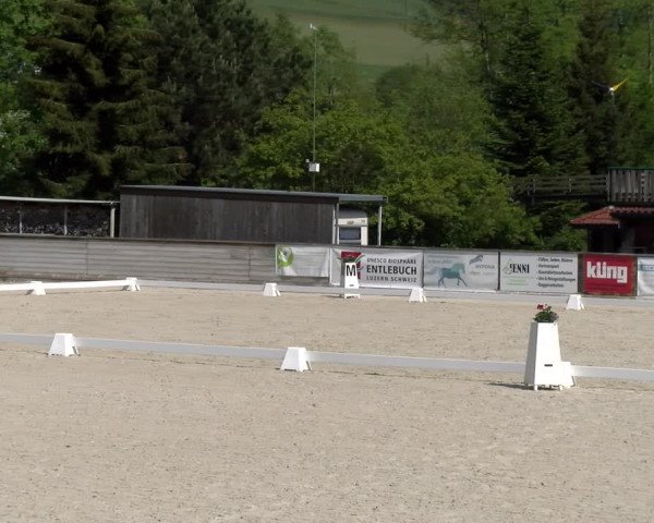Reitturnier Schüpfheim 2023
