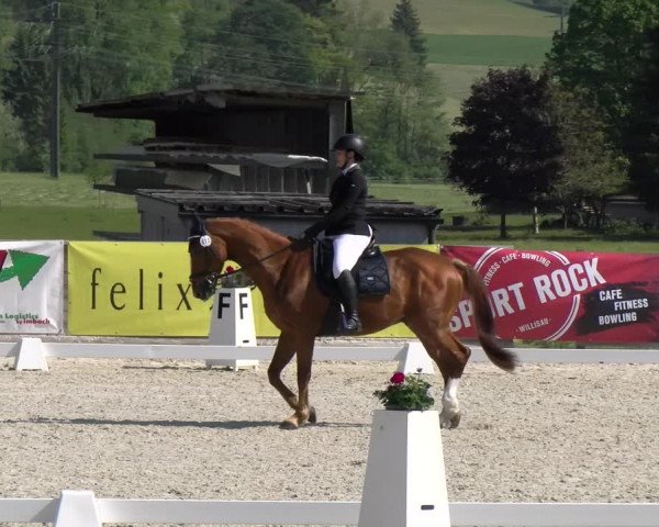 Reitturnier Schüpfheim 2023