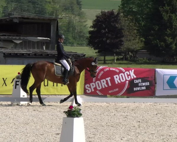 Reitturnier Schüpfheim 2023