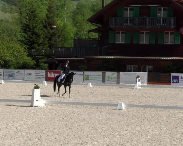 Reitturnier Schüpfheim 2023