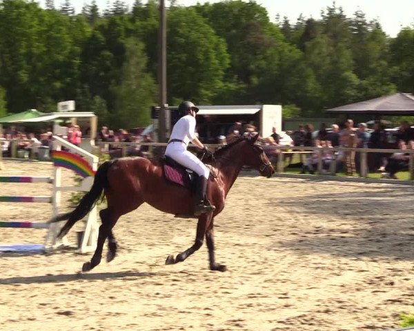 Reitturnier Kropp 2023