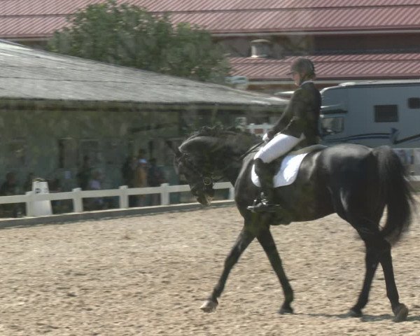 Reitturnier Kreuttal - Frey Horses 2023