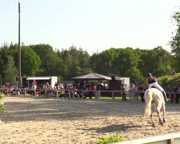 Reitturnier Kropp 2023