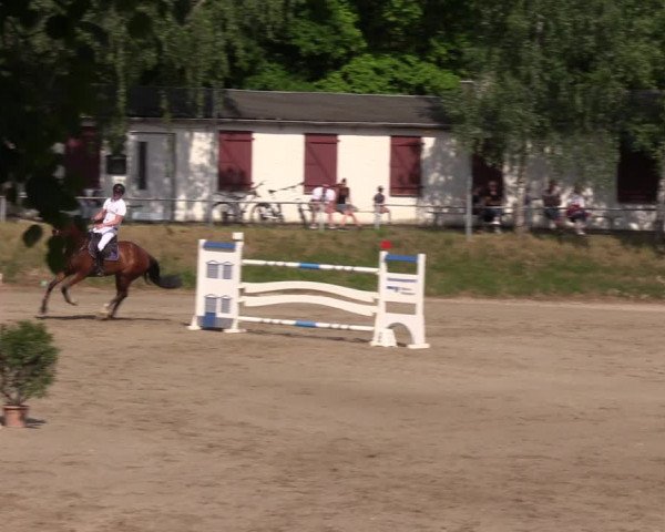 Reitturnier Lgl.-Oberhain 2023