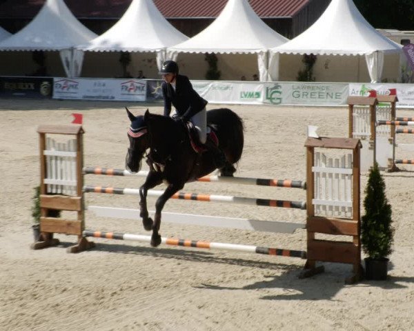 Reitturnier Karlsfeld/Obb. 2023