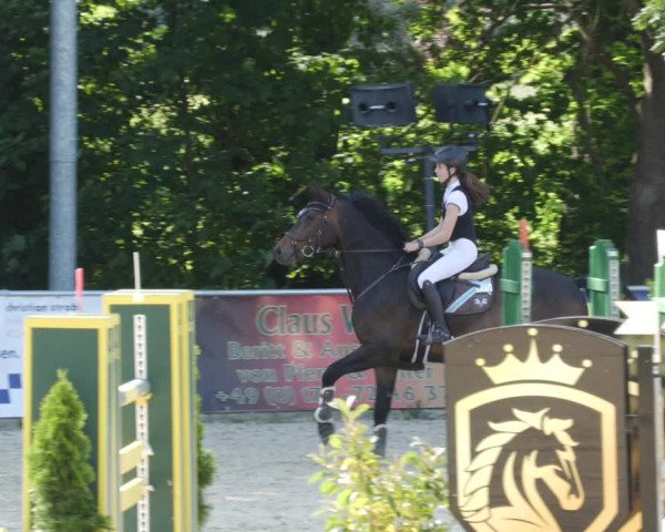Reitturnier Karlsfeld/Obb. 2023