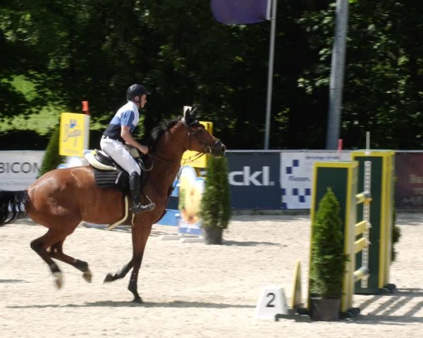 Reitturnier Karlsfeld/Obb. 2023
