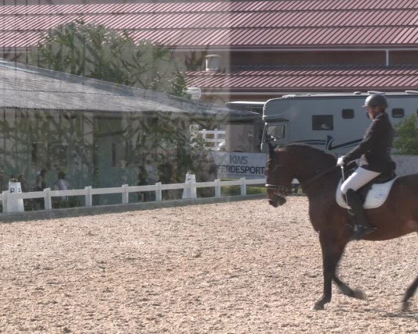 Reitturnier Kreuttal - Frey Horses 2023
