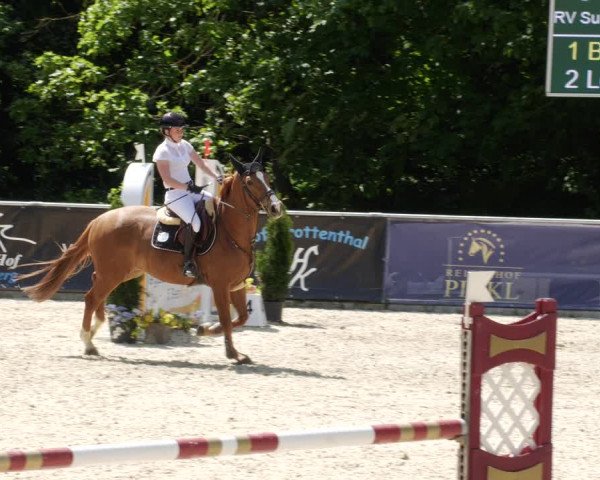 Reitturnier Karlsfeld/Obb. 2023