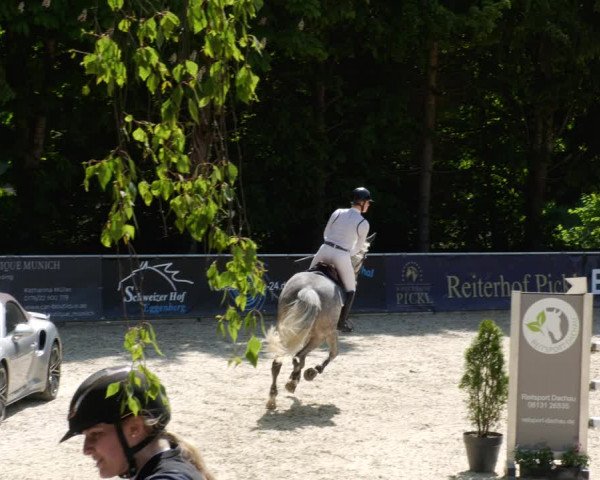 Reitturnier Karlsfeld/Obb. 2023