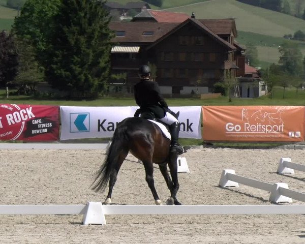 Reitturnier Schüpfheim 2023