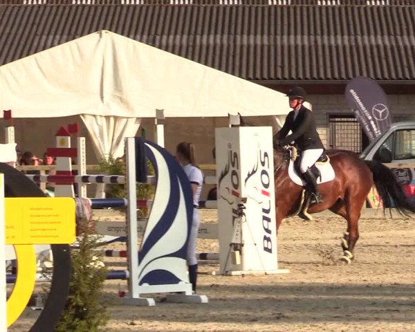 Reitturnier Kropp 2023