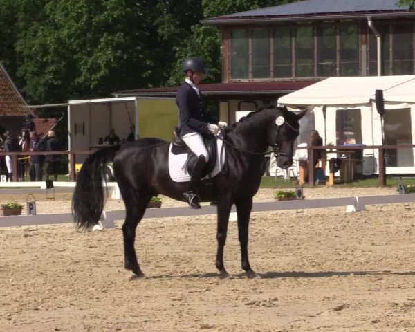 Reitturnier Everswinkel 2023